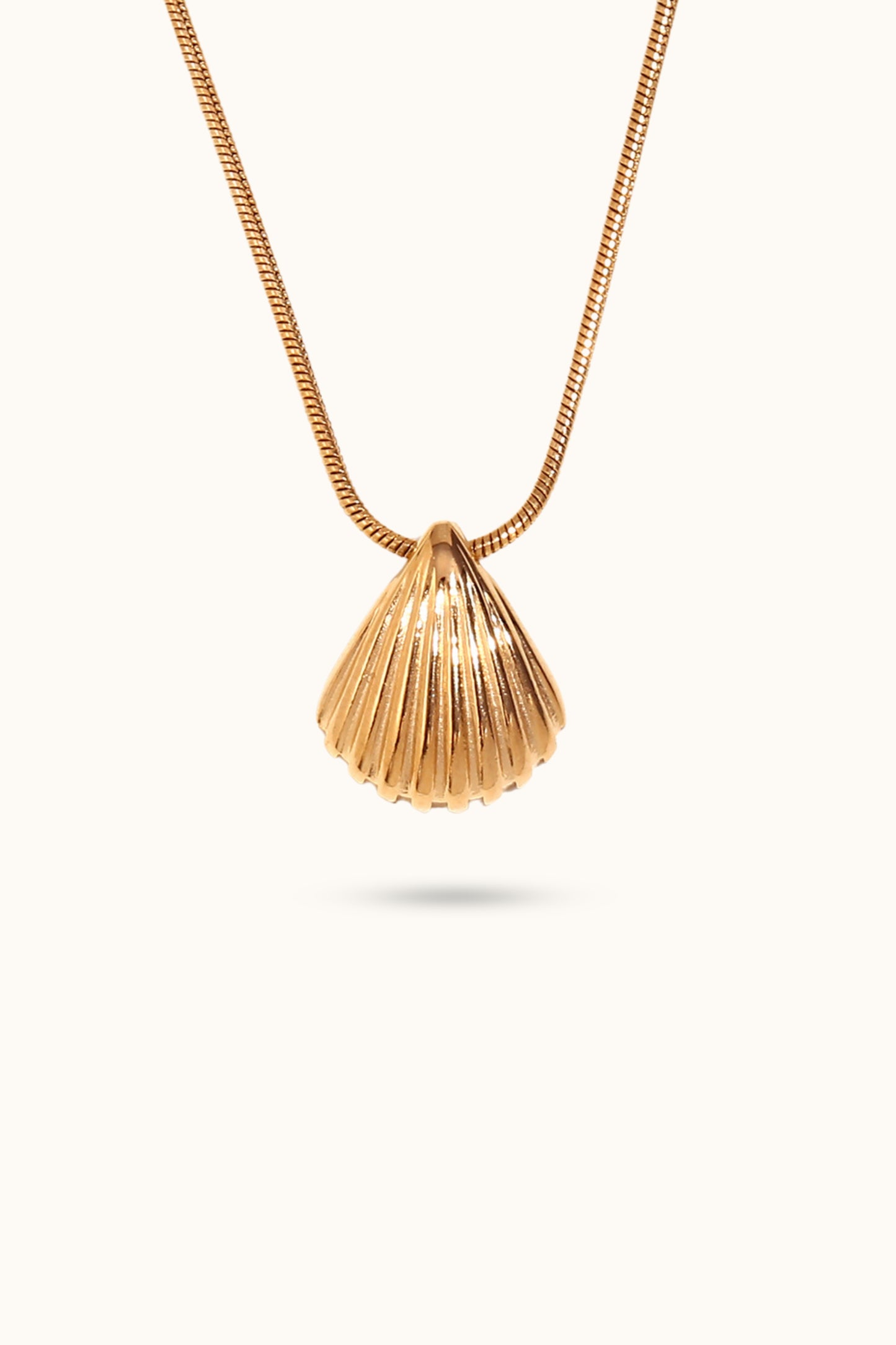 Scallop Shell Pendant Necklace