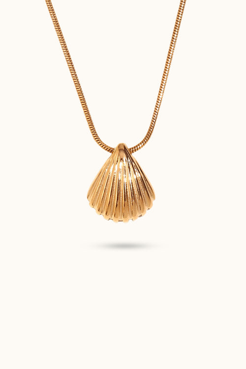 Scallop Shell Pendant Necklace