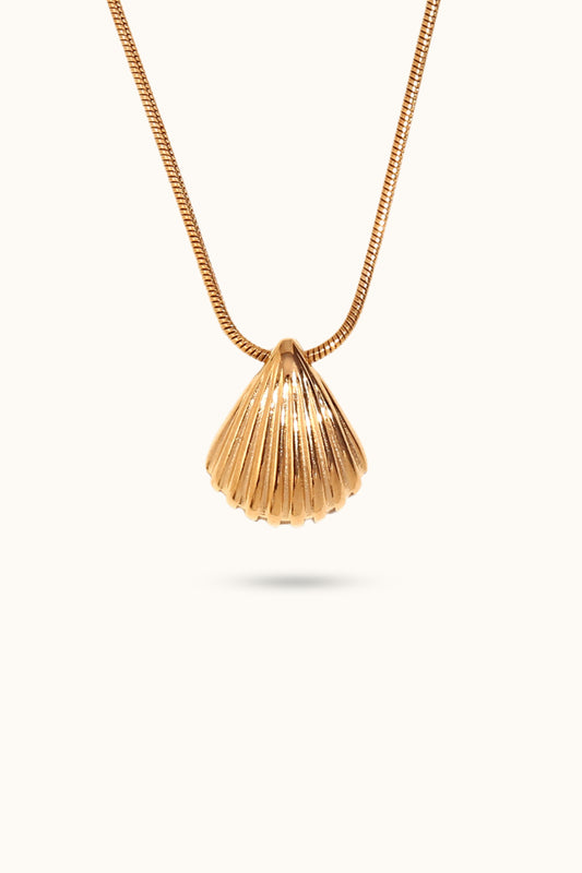 Scallop Shell Pendant Necklace